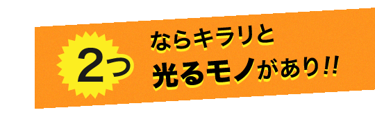 2つならキラリと光るモノがあり!!